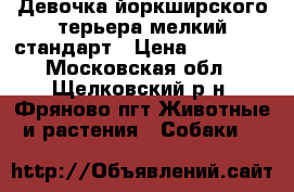 Девочка йоркширского терьера мелкий стандарт › Цена ­ 15 000 - Московская обл., Щелковский р-н, Фряново пгт Животные и растения » Собаки   